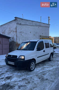Минивэн Fiat Doblo 2003 в Житомире