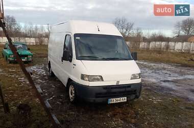 Вантажний фургон Fiat Ducato 1999 в Ярмолинцях