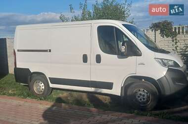 Грузовой фургон Fiat Ducato 2019 в Броварах
