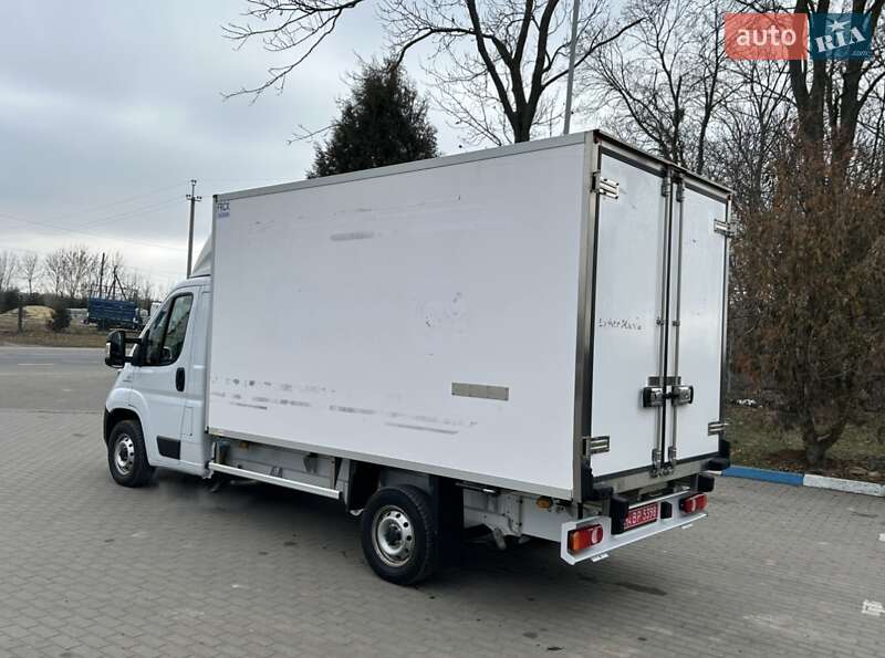 Рефрижератор Fiat Ducato 2020 в Львове