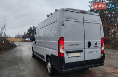 Грузовой фургон Fiat Ducato 2020 в Житомире