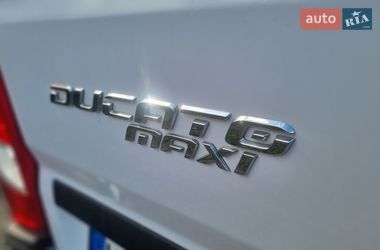 Грузовой фургон Fiat Ducato 2020 в Самборе