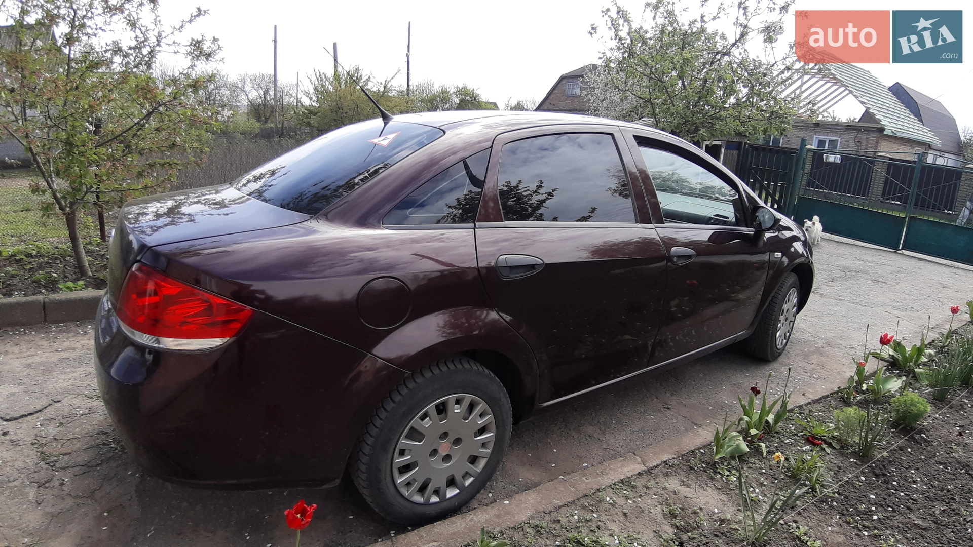 2012 Fiat Linea - мініатюра 7