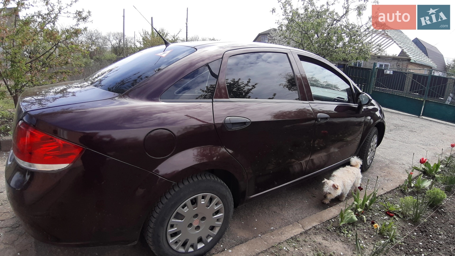 2012 Fiat Linea - мініатюра 3