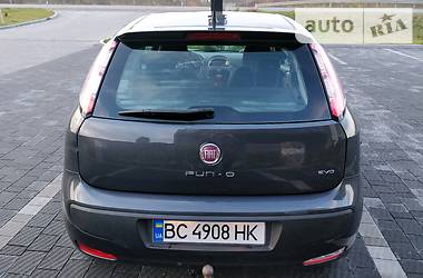 Хетчбек Fiat Punto 2011 в Стрию