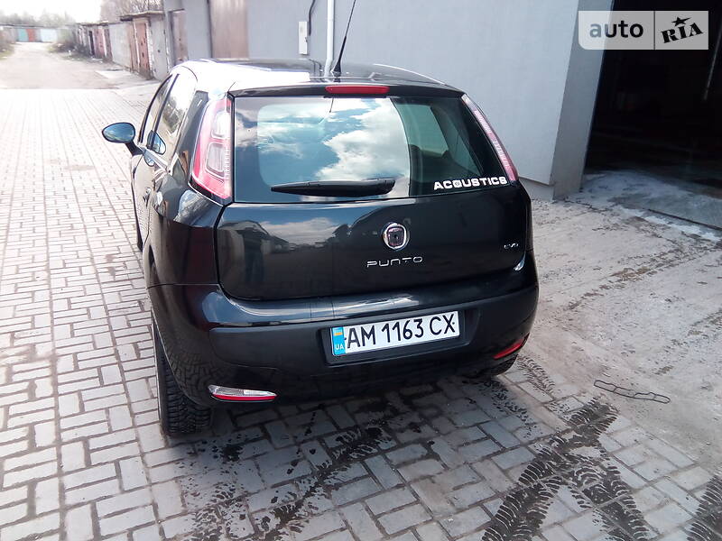 Хэтчбек Fiat Punto 2011 в Житомире