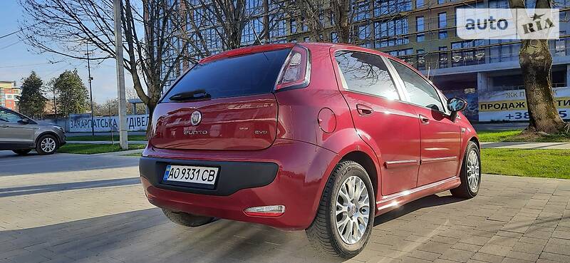 Хэтчбек Fiat Punto 2010 в Ужгороде