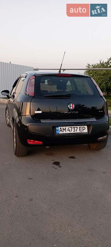 Хэтчбек Fiat Punto 2011 в Житомире