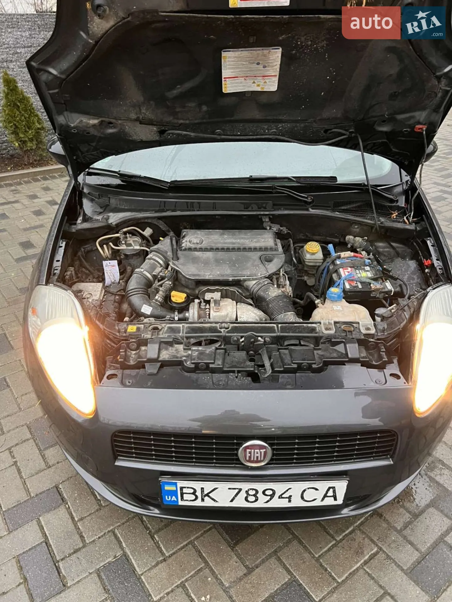 2011 Fiat Punto - мініатюра 10
