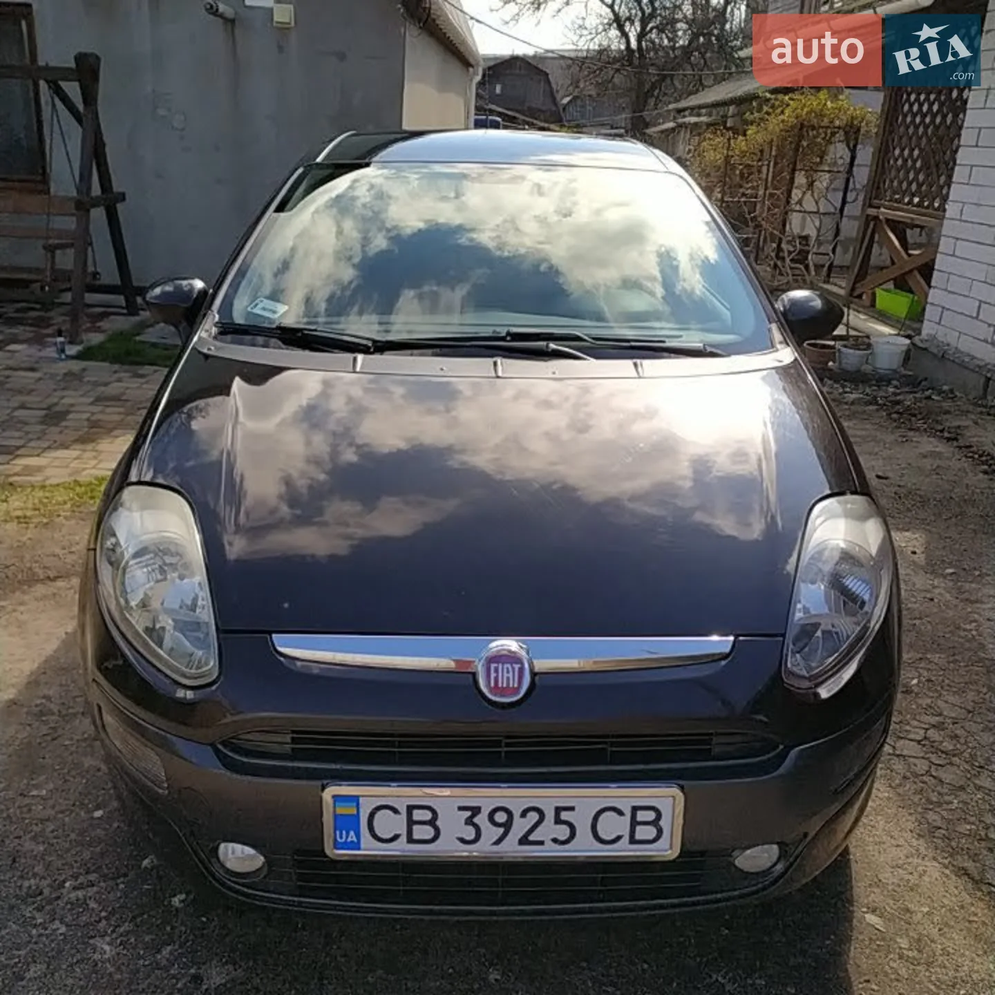 2010 Fiat Punto - мініатюра 2