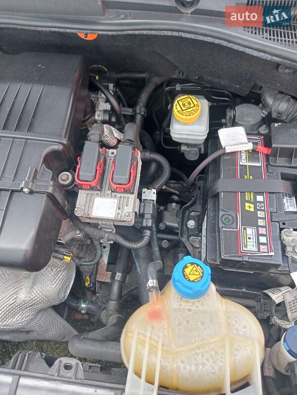 Хэтчбек Fiat Punto 2009 в 