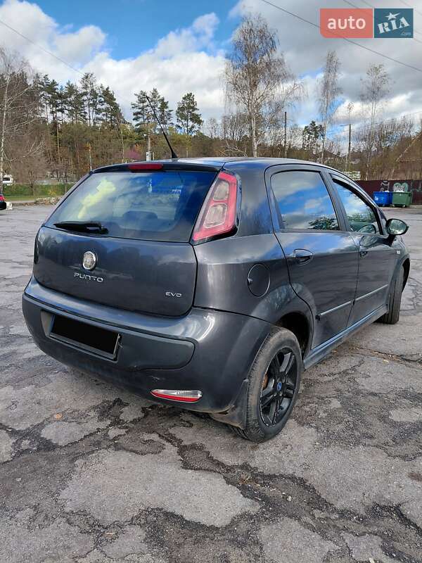 Хэтчбек Fiat Punto 2010 в Житомире