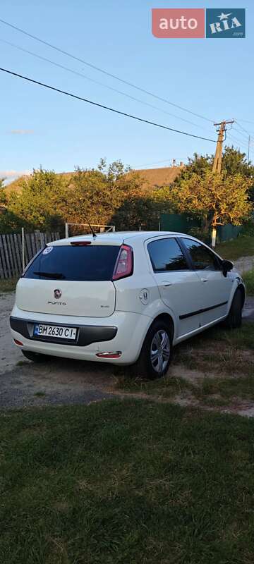 Хетчбек Fiat Punto 2009 в Сумах