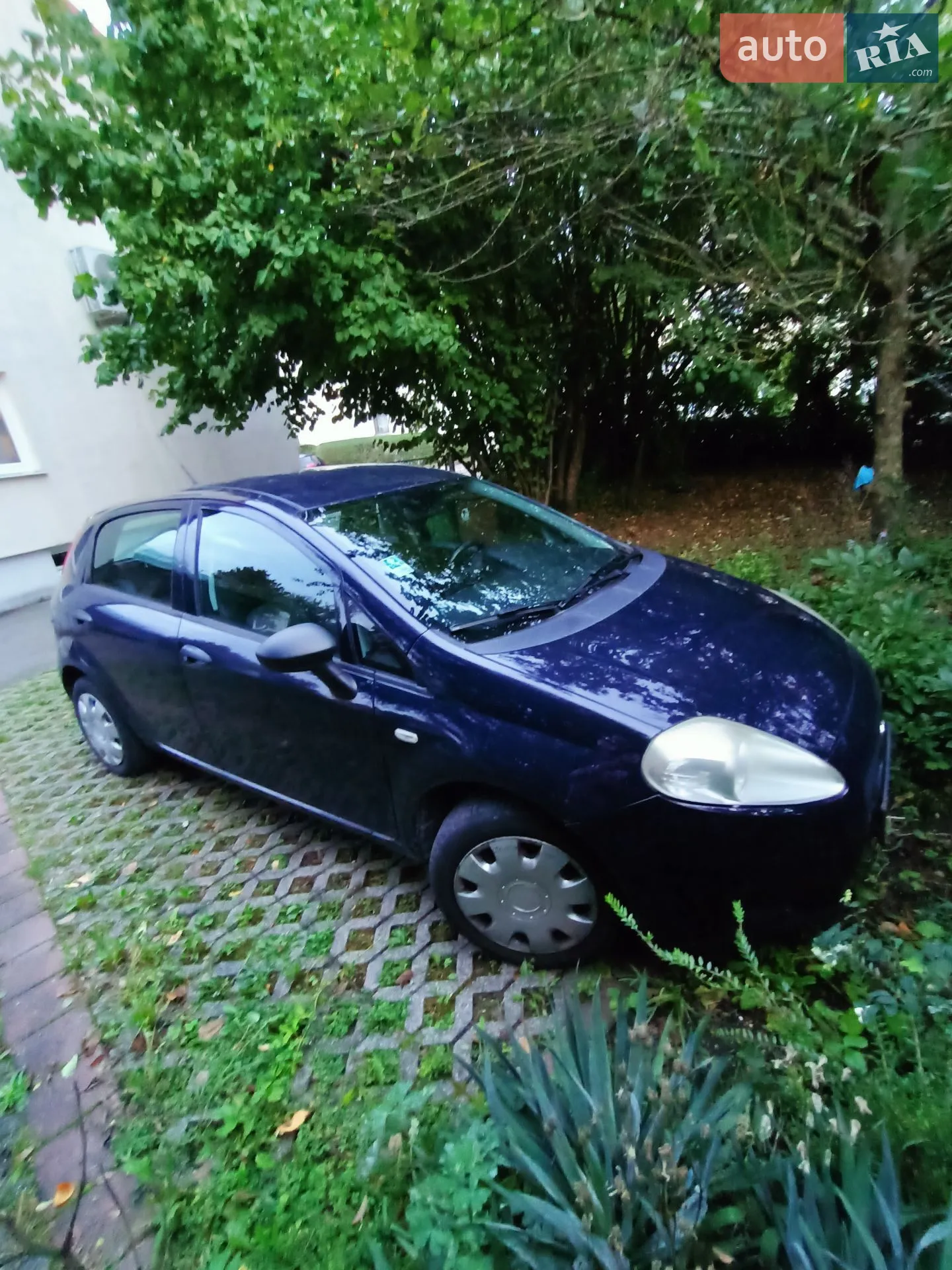 2011 Fiat Punto - мініатюра 4