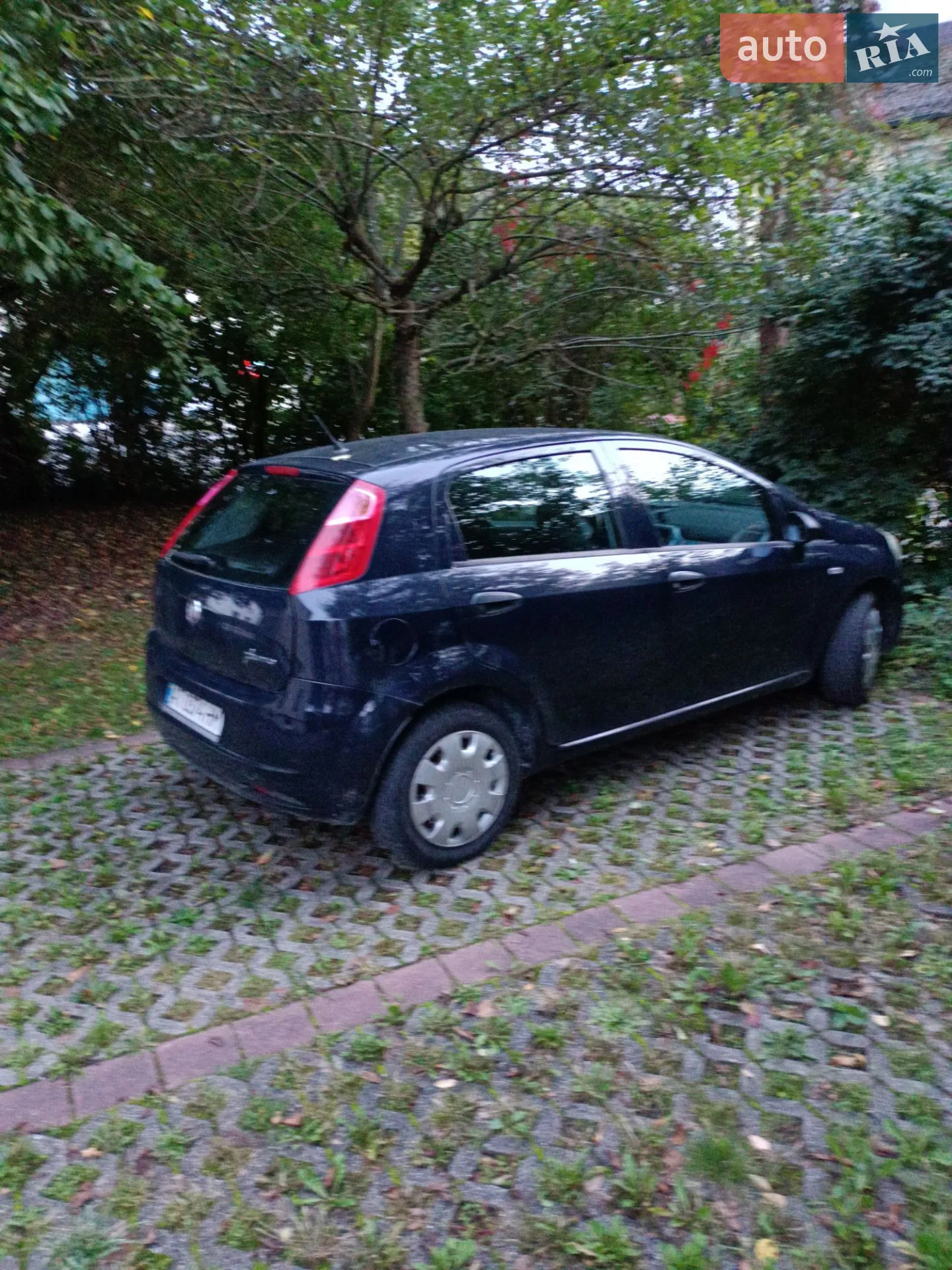 2011 Fiat Punto - мініатюра 5