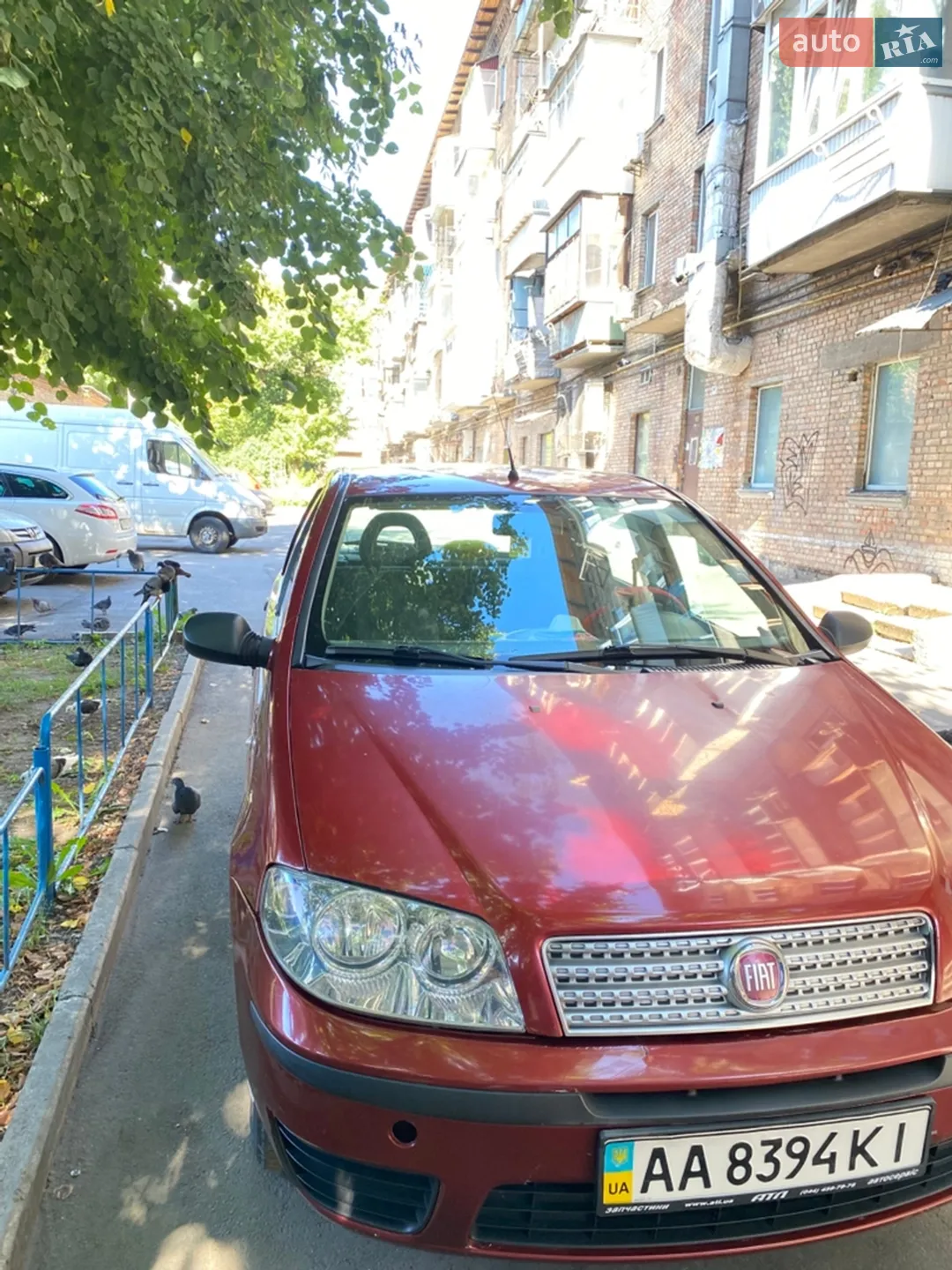 2010 Fiat Punto - мініатюра 5