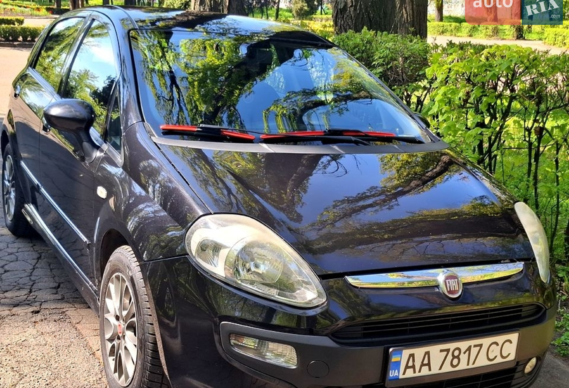 2010 Fiat Punto - мініатюра 2