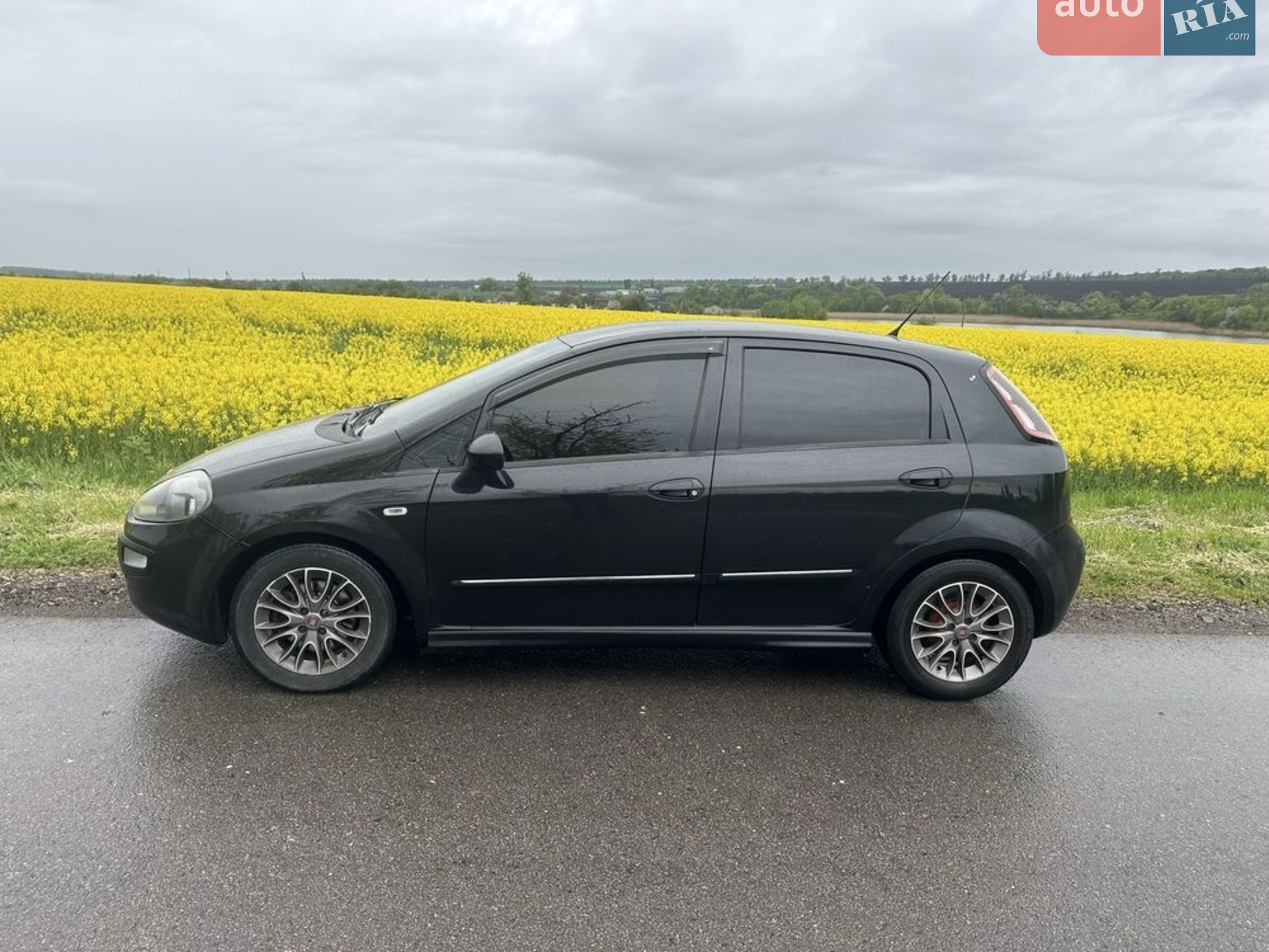 2010 Fiat Punto - мініатюра 3