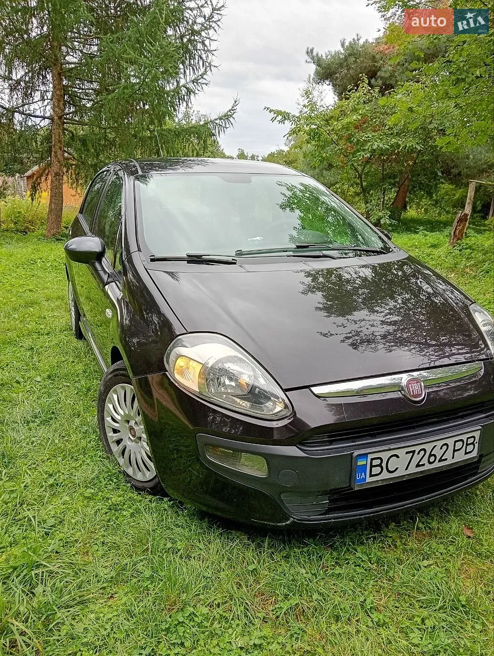 2010 Fiat Punto - мініатюра 2