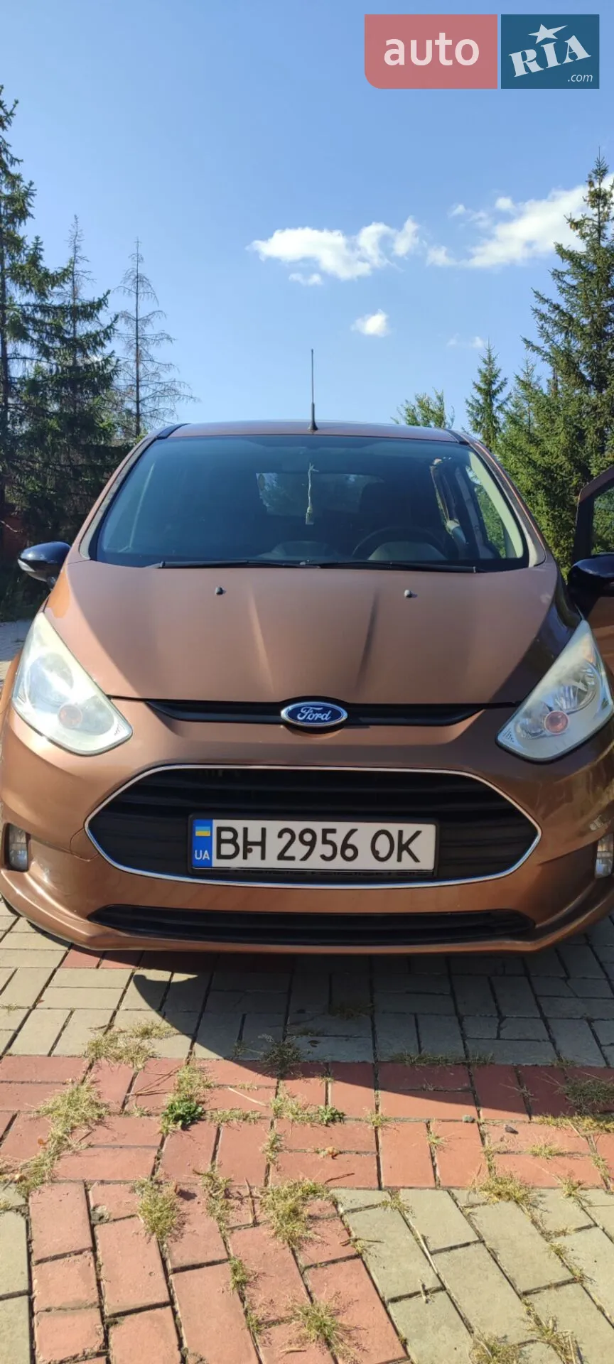 2013 Ford B-MAX - мініатюра 6