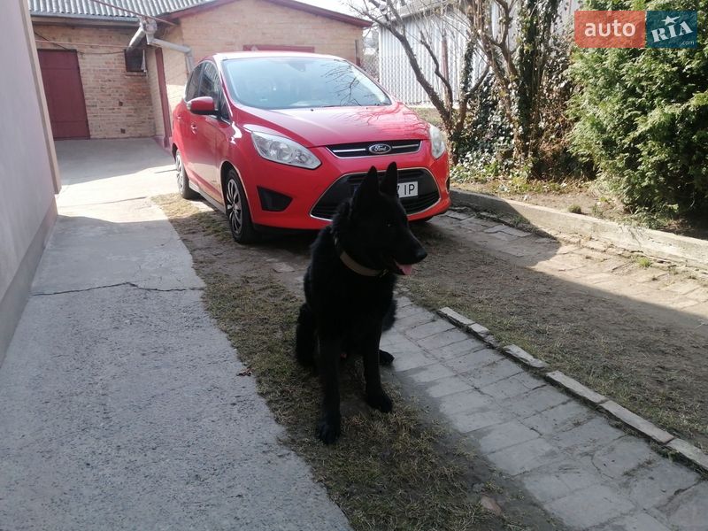 Минивэн Ford C-Max 2013 в Ровно фото 7 Минивэн Ford C-Max 2013 в Ровно