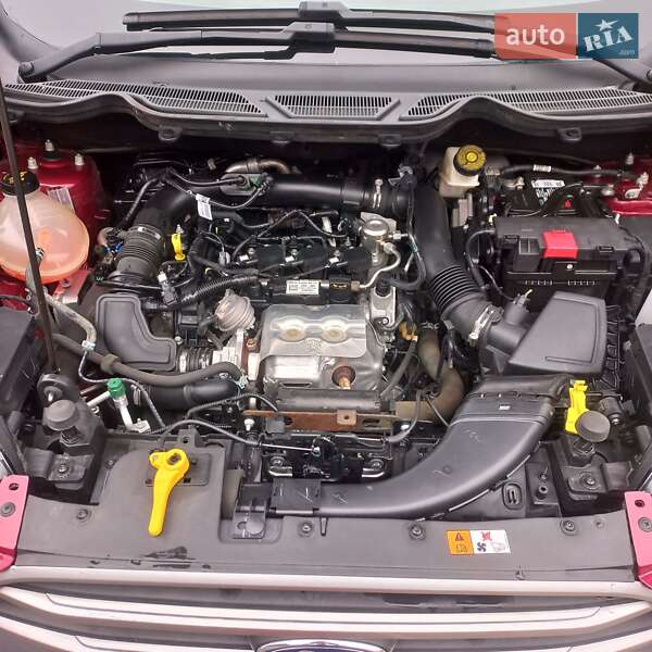 Внедорожник / Кроссовер Ford EcoSport 2021 в Каменке-Бугской