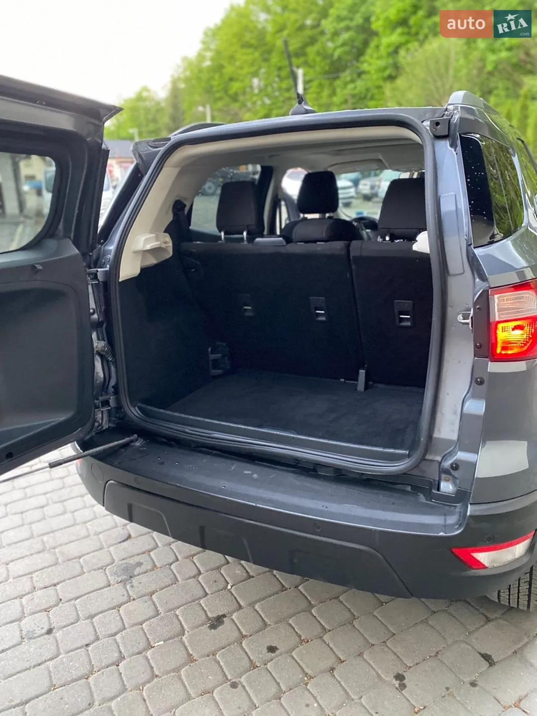 2019 Ford EcoSport - мініатюра 13