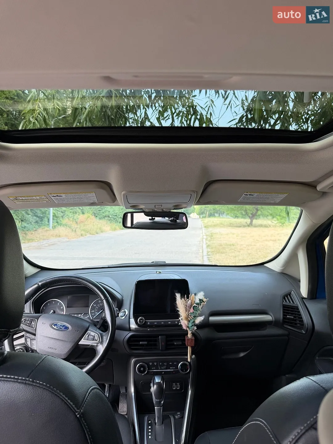 2020 Ford EcoSport - мініатюра 12