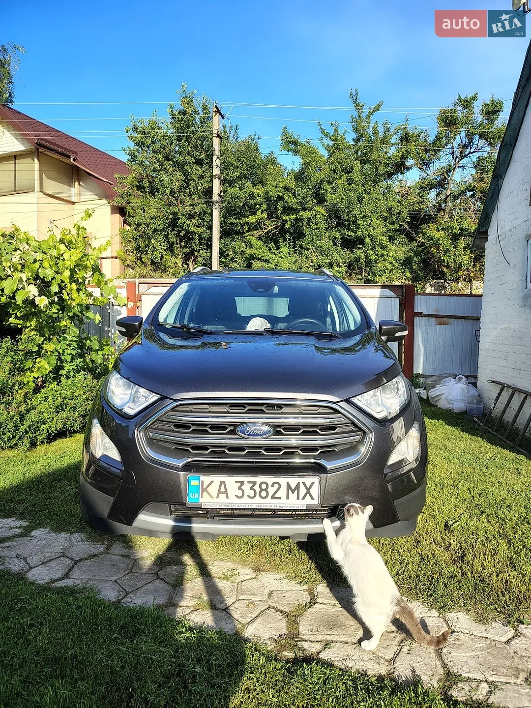 2020 Ford EcoSport - фото 1