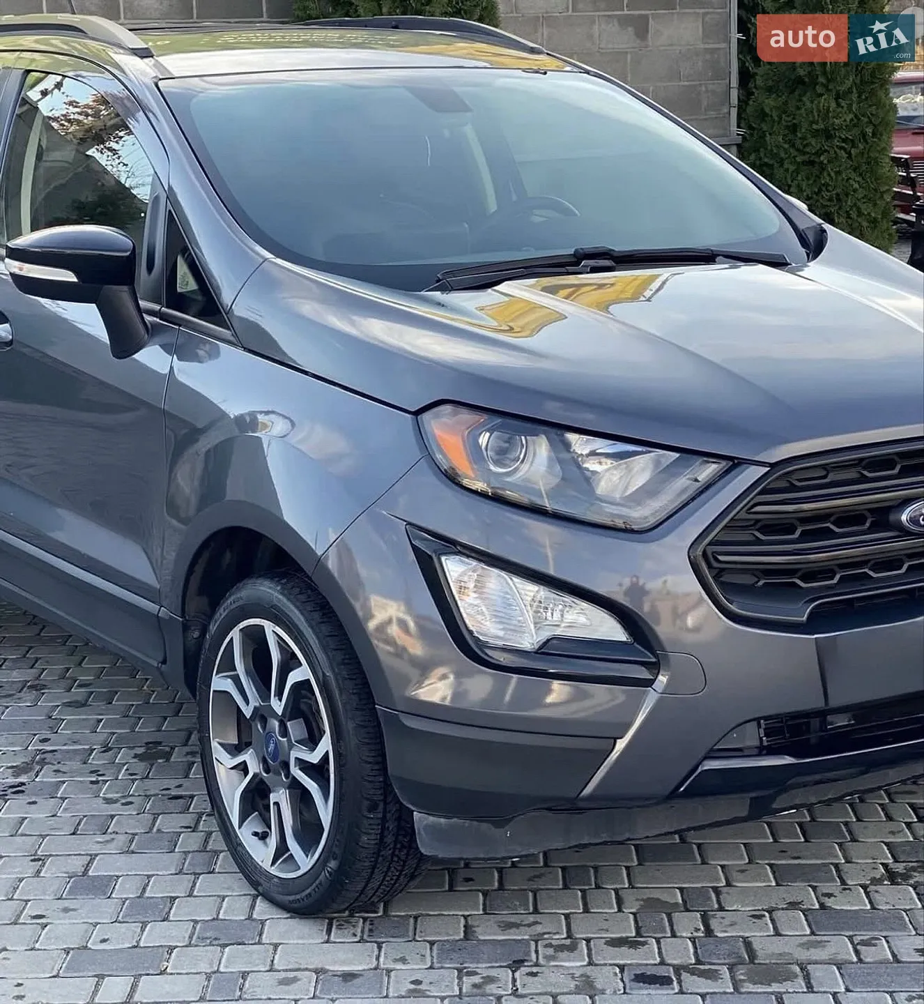 2019 Ford EcoSport - мініатюра 2