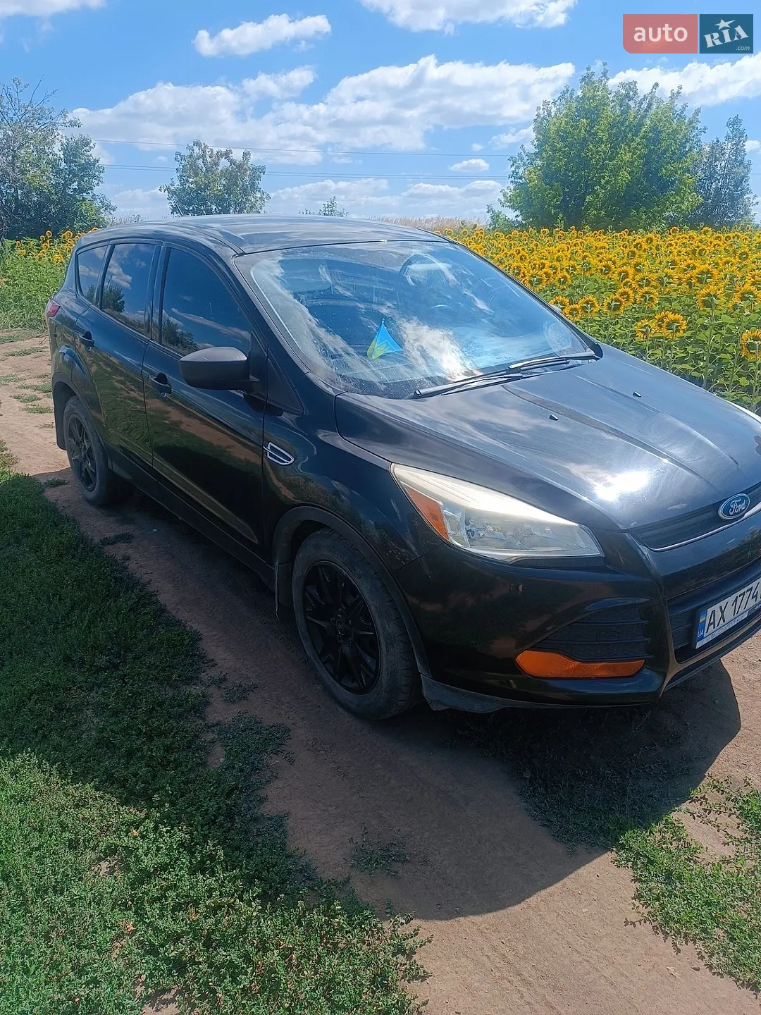 2014 Ford EcoSport - мініатюра 6