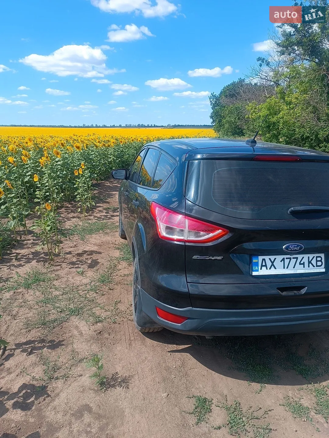2014 Ford EcoSport - мініатюра 13