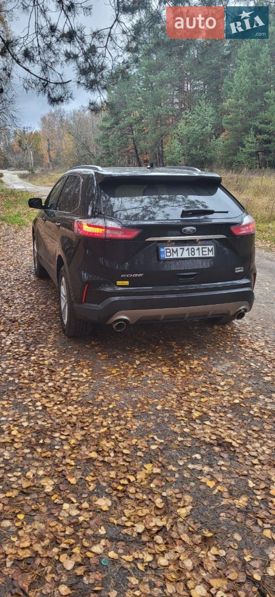 2019 Ford Edge - мініатюра 5