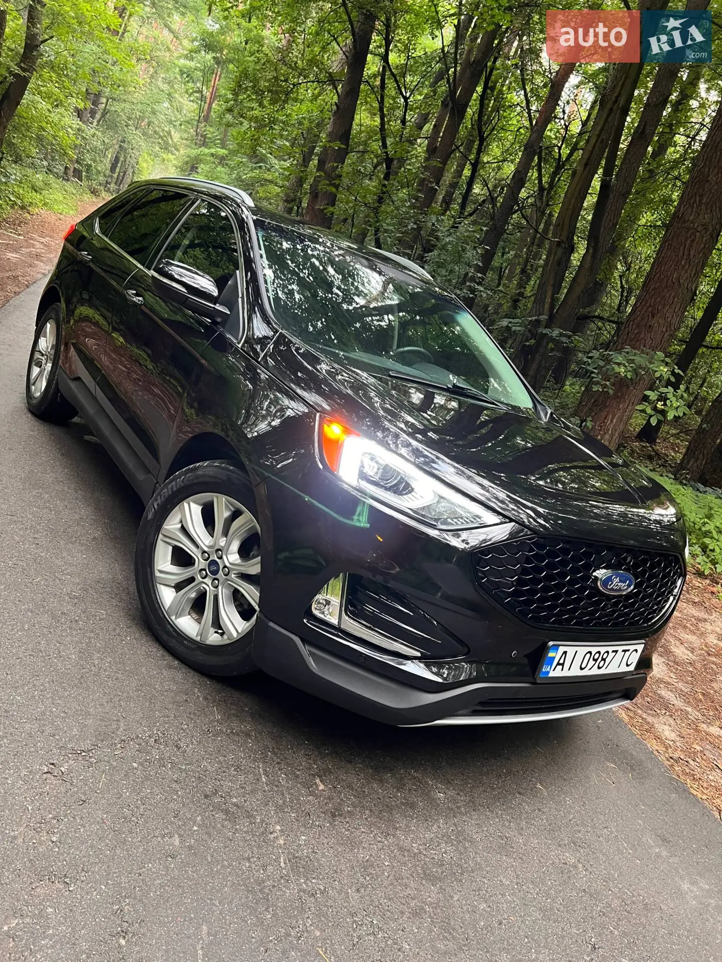 2019 Ford Edge - мініатюра 2