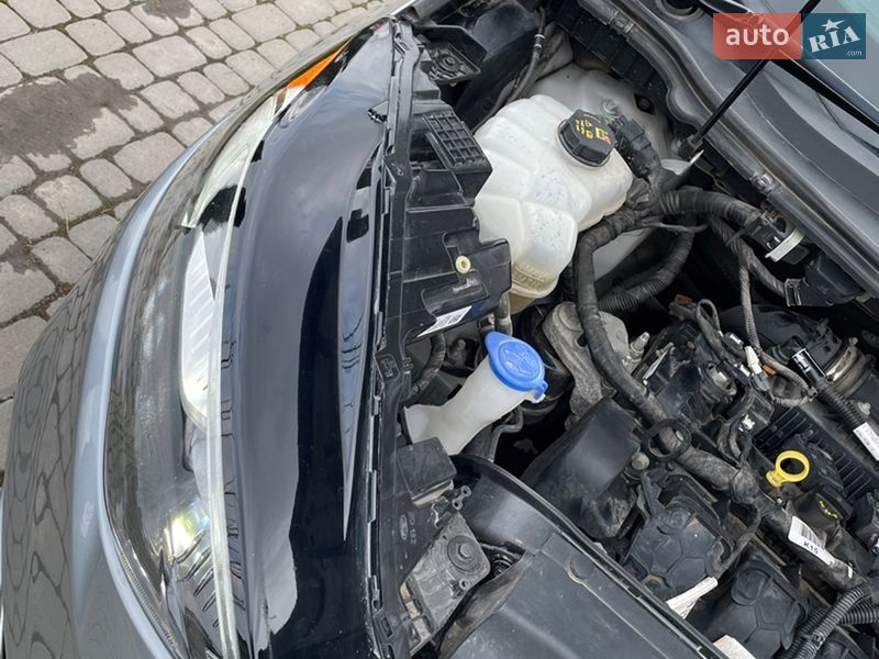 Позашляховик / Кросовер Ford Edge 2020 в Іллінцях