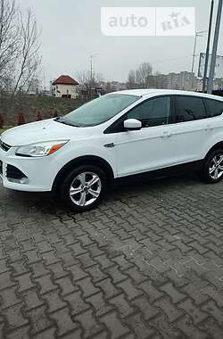 Внедорожник / Кроссовер Ford Escape 2013 в Богуславе