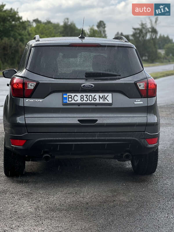 Внедорожник / Кроссовер Ford Escape 2019 в Рени