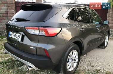 Позашляховик / Кросовер Ford Escape 2020 в Тернополі