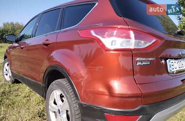 Позашляховик / Кросовер Ford Escape 2016 в Шептицькому