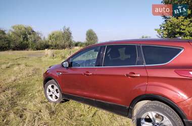 Позашляховик / Кросовер Ford Escape 2016 в Шептицькому