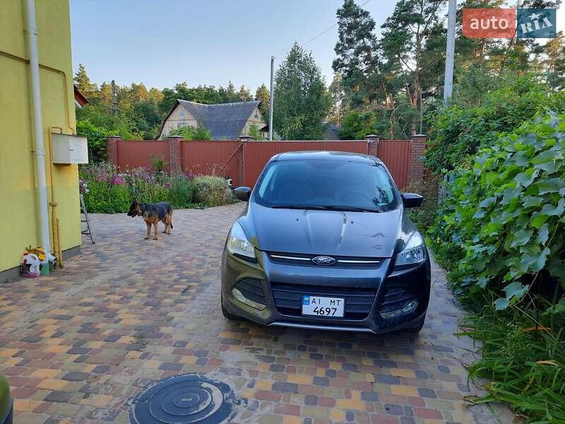 Позашляховик / Кросовер Ford Escape 2016 в Києві фото 3 Позашляховик / Кросовер Ford Escape 2016 в Києві