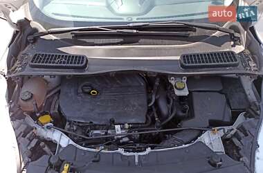 Внедорожник / Кроссовер Ford Escape 2017 в Днепре