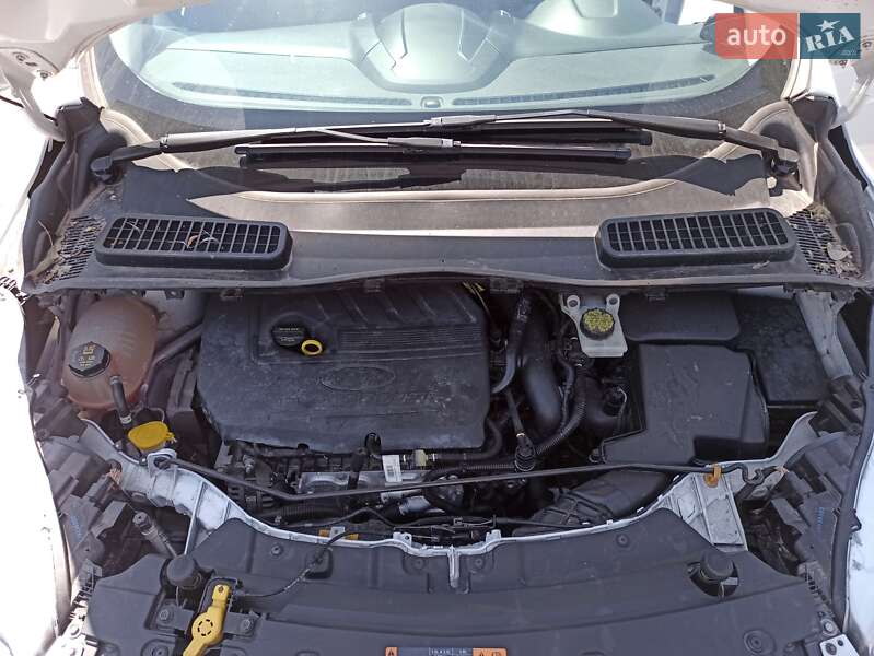 Внедорожник / Кроссовер Ford Escape 2017 в Днепре фото 25 Внедорожник / Кроссовер Ford Escape 2017 в Днепре