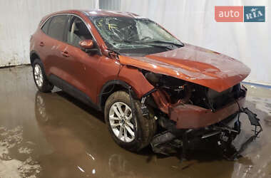 Внедорожник / Кроссовер Ford Escape 2019 в 