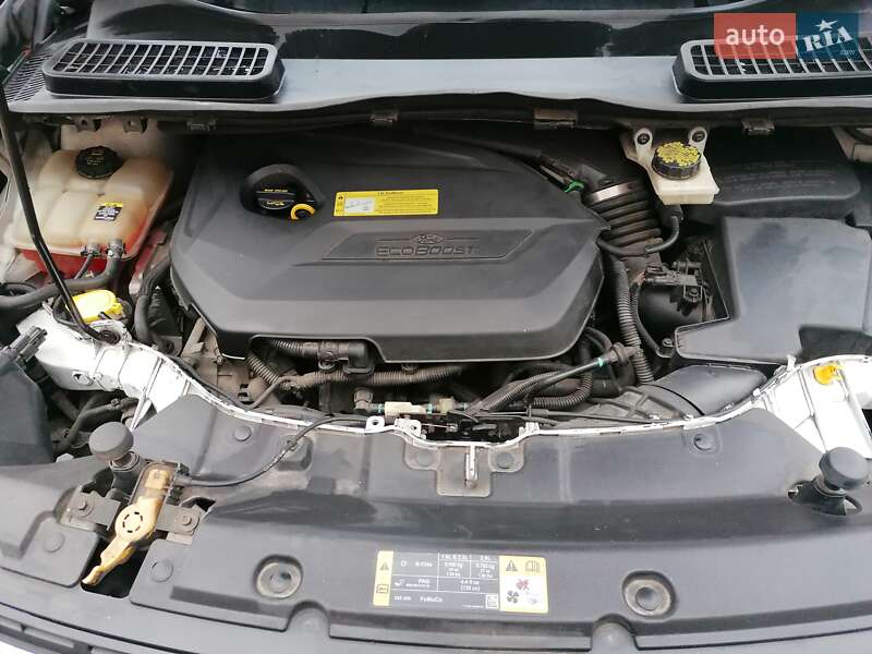 Внедорожник / Кроссовер Ford Escape 2012 в Киеве