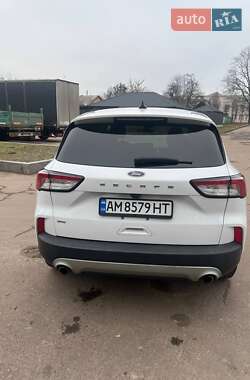 Внедорожник / Кроссовер Ford Escape 2021 в 