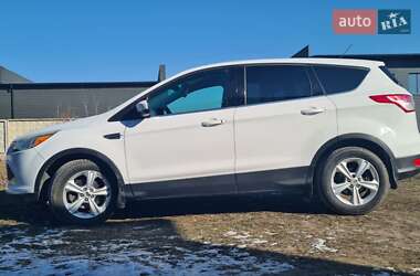 Позашляховик / Кросовер Ford Escape 2014 в Радехові