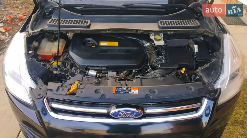 Внедорожник / Кроссовер Ford Escape 2015 в Косове фото 35 Внедорожник / Кроссовер Ford Escape 2015 в Косове