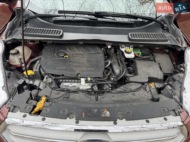Внедорожник / Кроссовер Ford Escape 2017 в Тернополе