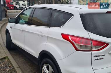 Позашляховик / Кросовер Ford Escape 2014 в Радехові